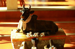 NIKKI's NEST AYURVEDA HOSPITAL