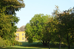 NATTIKA AT PARK AM SEE